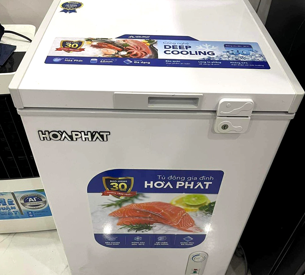 Tủ đông gia đình Hòa Phát